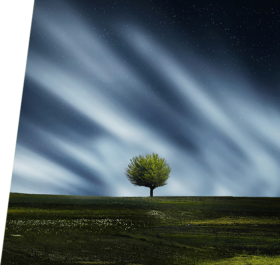 CA88(中国游)唯一官方网站